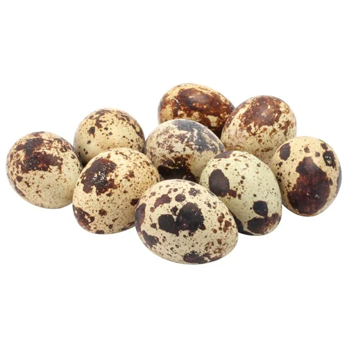 Яйця перепелині домашні елітні пластикова упаковка 10шт