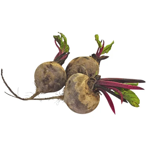 Буряк молодий імпорт