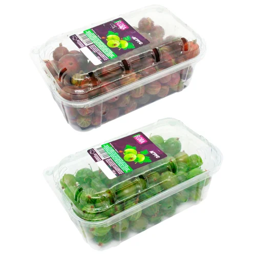 Агрус Flora 500г