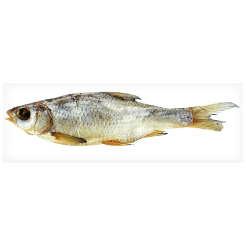 Риба Вобла Українська Зірка в'ялена