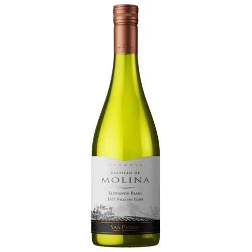 Вино Castillo de Molina Sauvignon Blanc біле сухе 13% 0,75л
