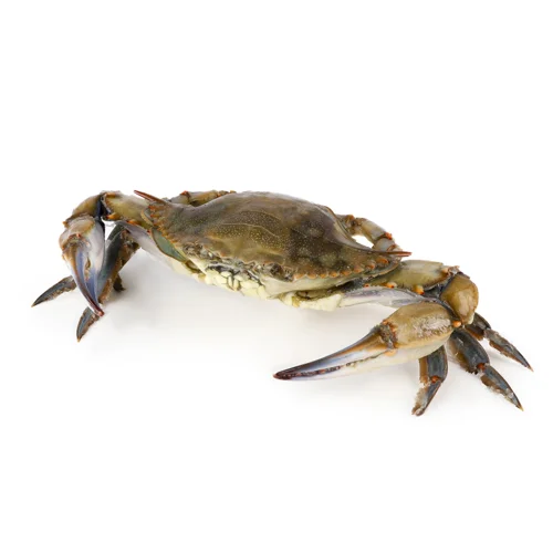 Краб Заморожений Блакитний, В/ґ, 200-300г, C&C Seafood