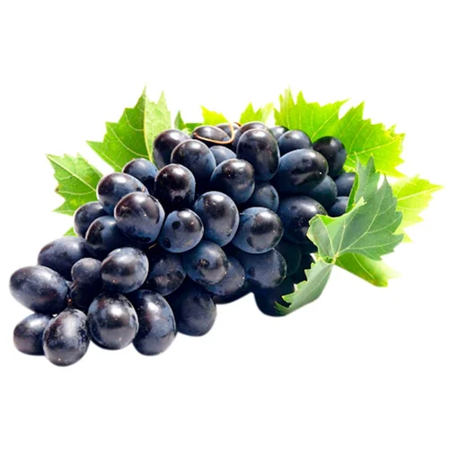 Виноград Кодрянка (ваг) Україна