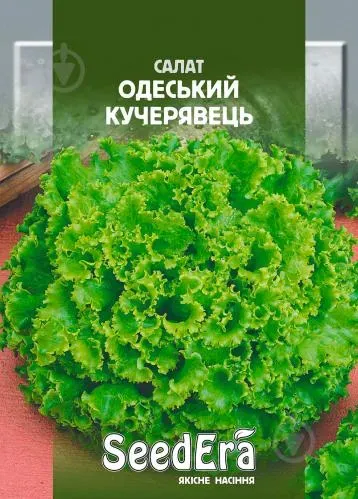 Салат Одеський Кучерявець, 10г Seedera