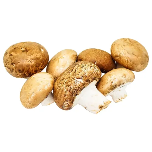 Печериці коричневі вагові