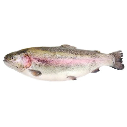 Форель 3-4 охолоджений розруб №1