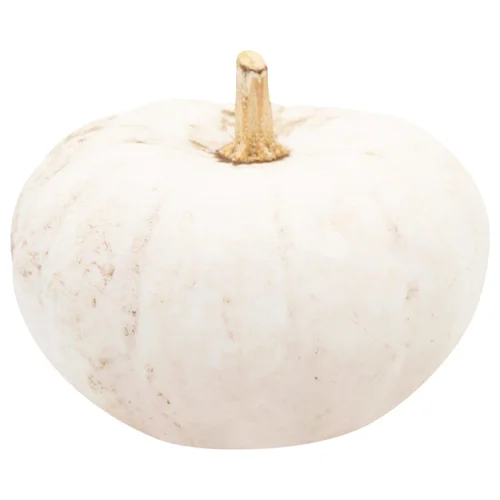 Гарбуз Осьо Органіка декоративний