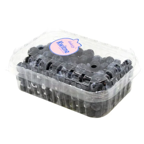 Лохина свіжа Kwitne 500г