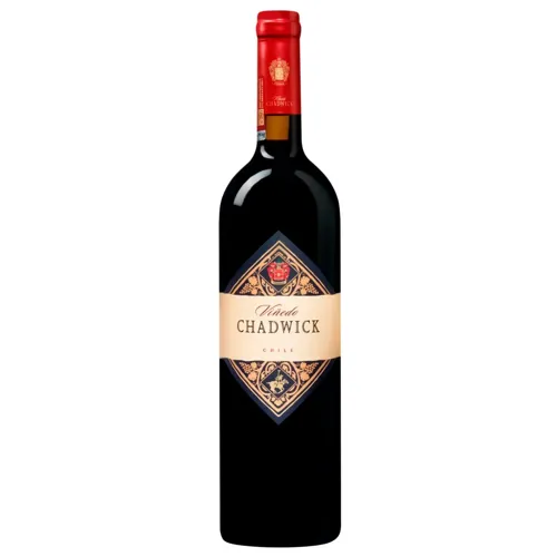 Вино Vinedo Chadwick червоне сухе 13,5% 0,75л