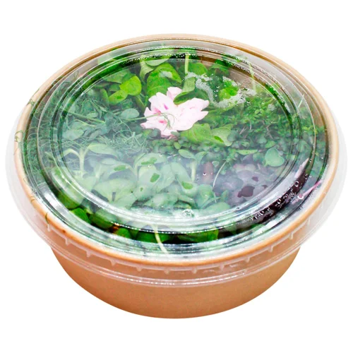 Мікрогрін Мікролюб Мікс Кінг Конг 140г