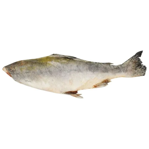 Горбуша заморожена