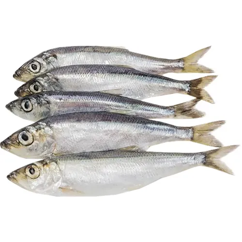 Кілька з головою свіжоморожена, вагова