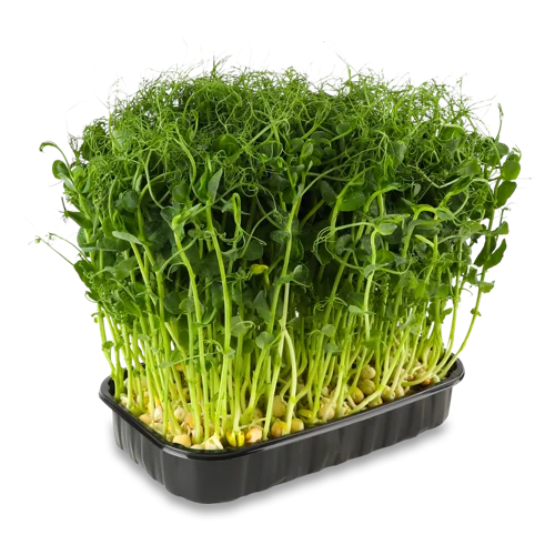 Мікрозелень Горох Javellin, в/ґ, 50г