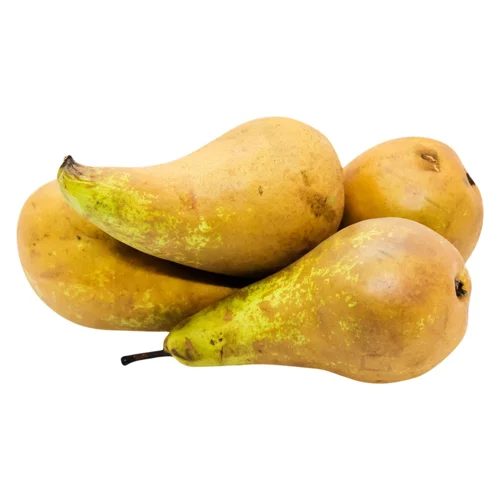 Груша Конференц