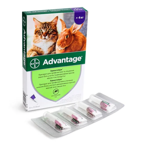 Краплі Спот-он для Котів та Декоративних Кролів >4кг Advantage Bayer 4х0.8мл, в/ґ