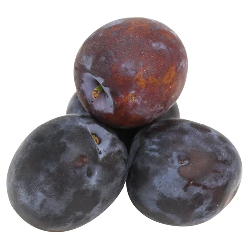 Слива Україна