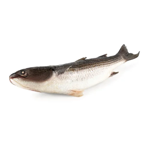 Кефаль Сиров'ялена Ifish, Вищого Ґатунку, 1 кг