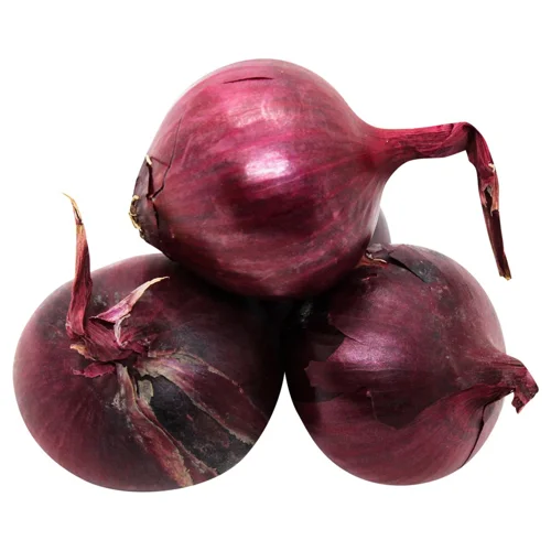 Цибуля синя