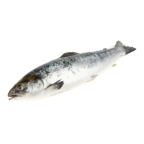 Лосось Заморожений Цілий Вищого Ґатунку Walcan Seafood Ltd, 400-800г