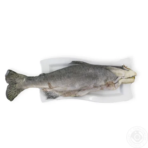 Горбуша тушка свіжоморожена