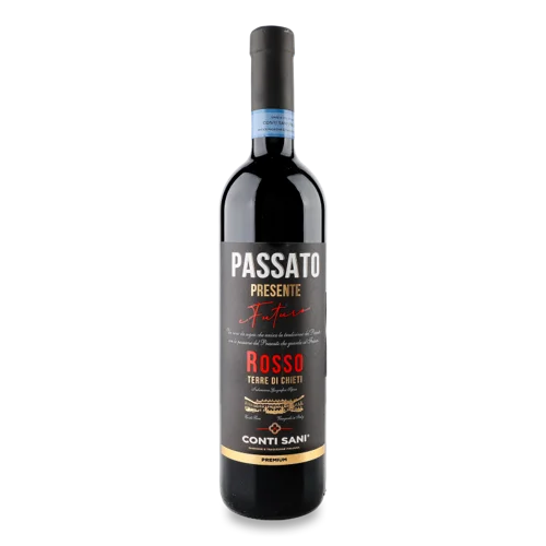 Вино Червоне Сухе Terre Di Chienti Passato Presente Future Conti Sani 750мл 14% п/пл