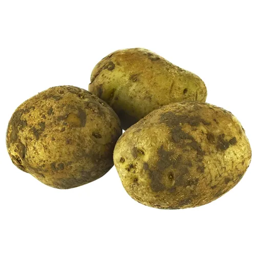 Картопля відбірна