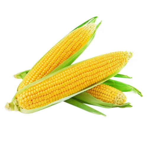 Кукурудза, 1шт