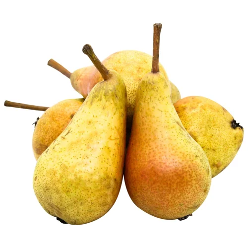 Груша Кармен