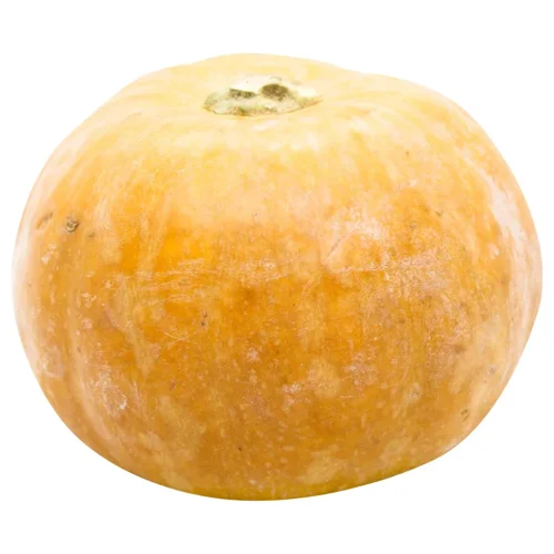 Гарбуз солодкий