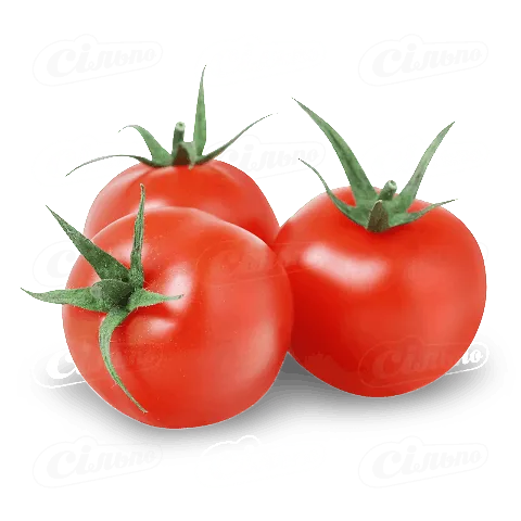 Томат «Коктейльний», кг