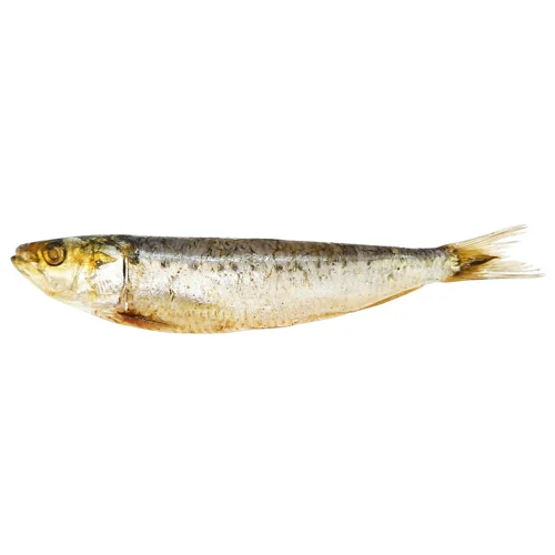 Івасі слабосолені