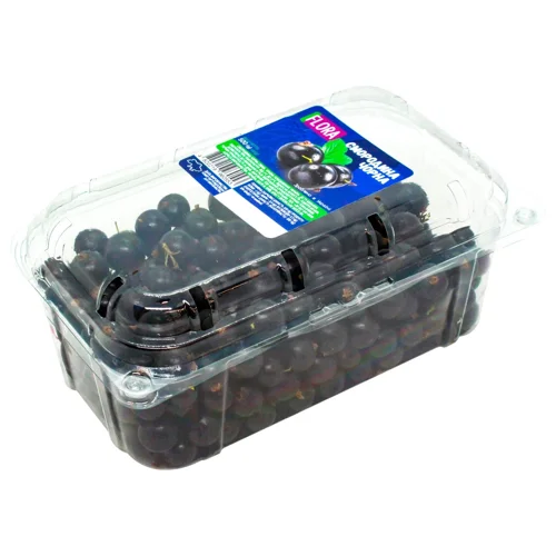 Смородина Flora чорна 500г
