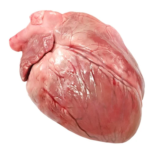 Серце свиняче розморожене