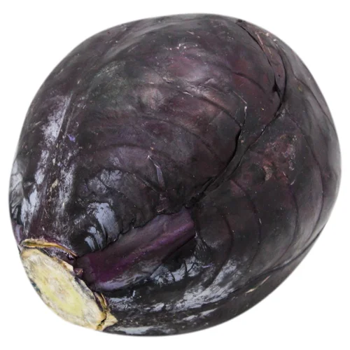 Капуста червонокачанна