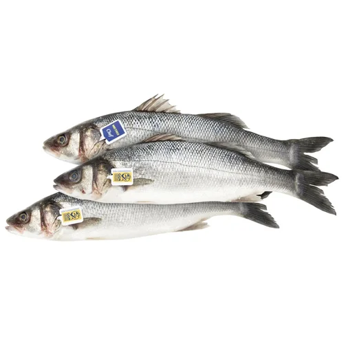 Сібас Metro Chef 600-800г