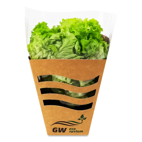Салат Свіжий Листовий GW Eco System, в/ґ, 150г