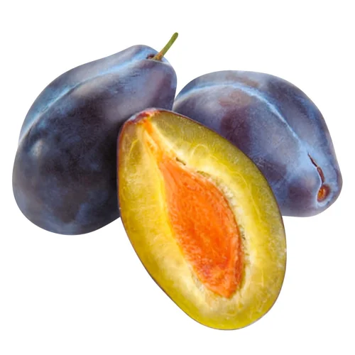 Слива Стенлей Україна