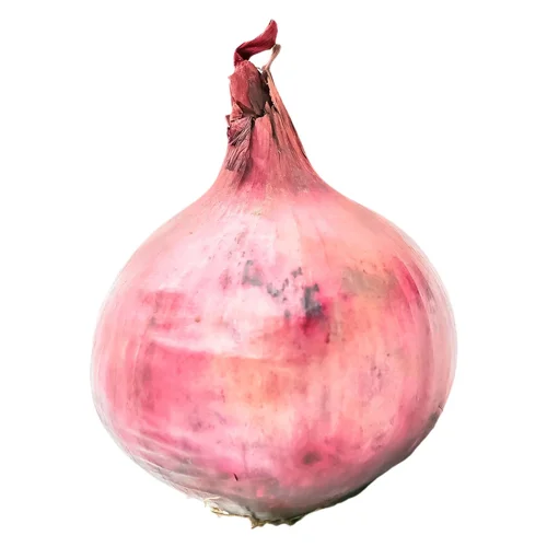 Цибуля Марс синя