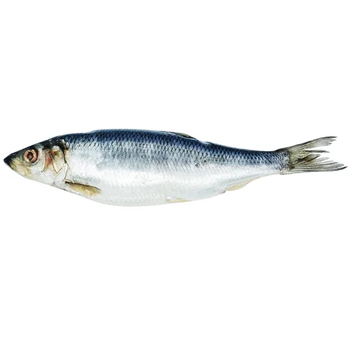 Оселедець солений фірмовий