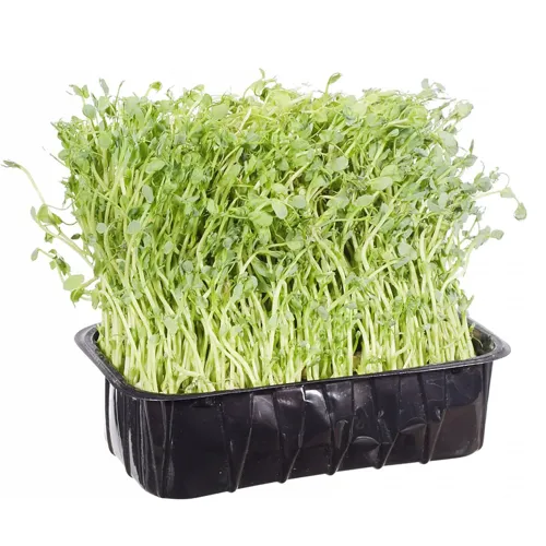 Паростки Горошку зрізані Порція Здоров'я 50г шт