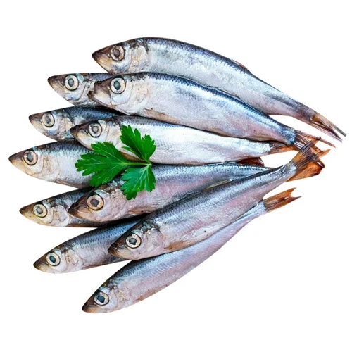 Хамса малосольна Айсберг