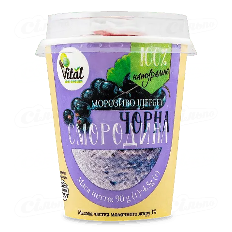 Морозиво Vital Щербет Чорна смородина, 90г