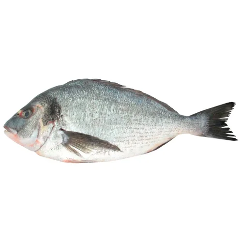 Дорада Norven патрана охолоджена 200-300г