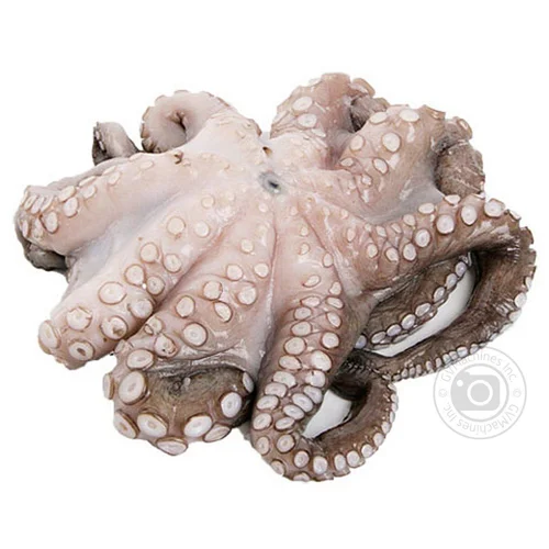 Восьминіг по-сицилійськи