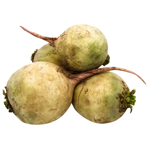 Редька Ред Міт