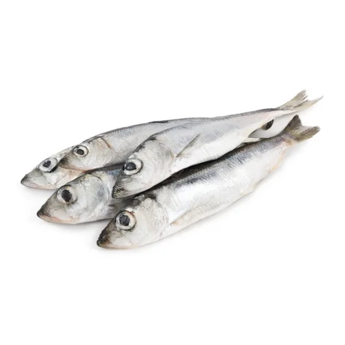 Салака Морожена Ціла Вищого Ґатунку, Kajax Fishexport, 1 кг