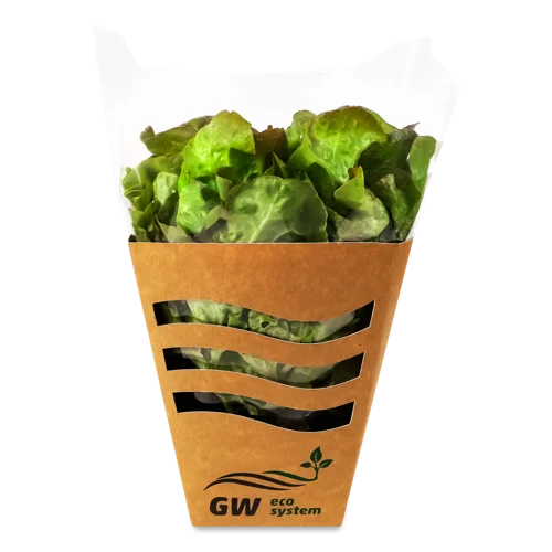 Салат Руксай Свіжий Листовий GW Eco System, 150г