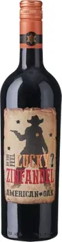 Вино Do You Feel Lucky? Zinfandel червоне сухе 0.75л 14%