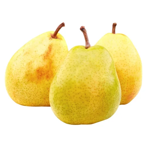 Груша Александрина Туреччина