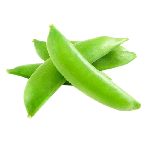 Горох молодий